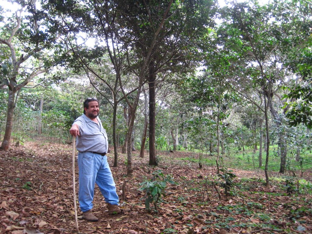 Manuel Santana-Bendix on the Farm